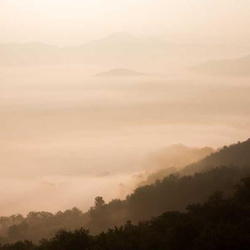 Cerita di Balik Setiap Hidangan Khas Daerah